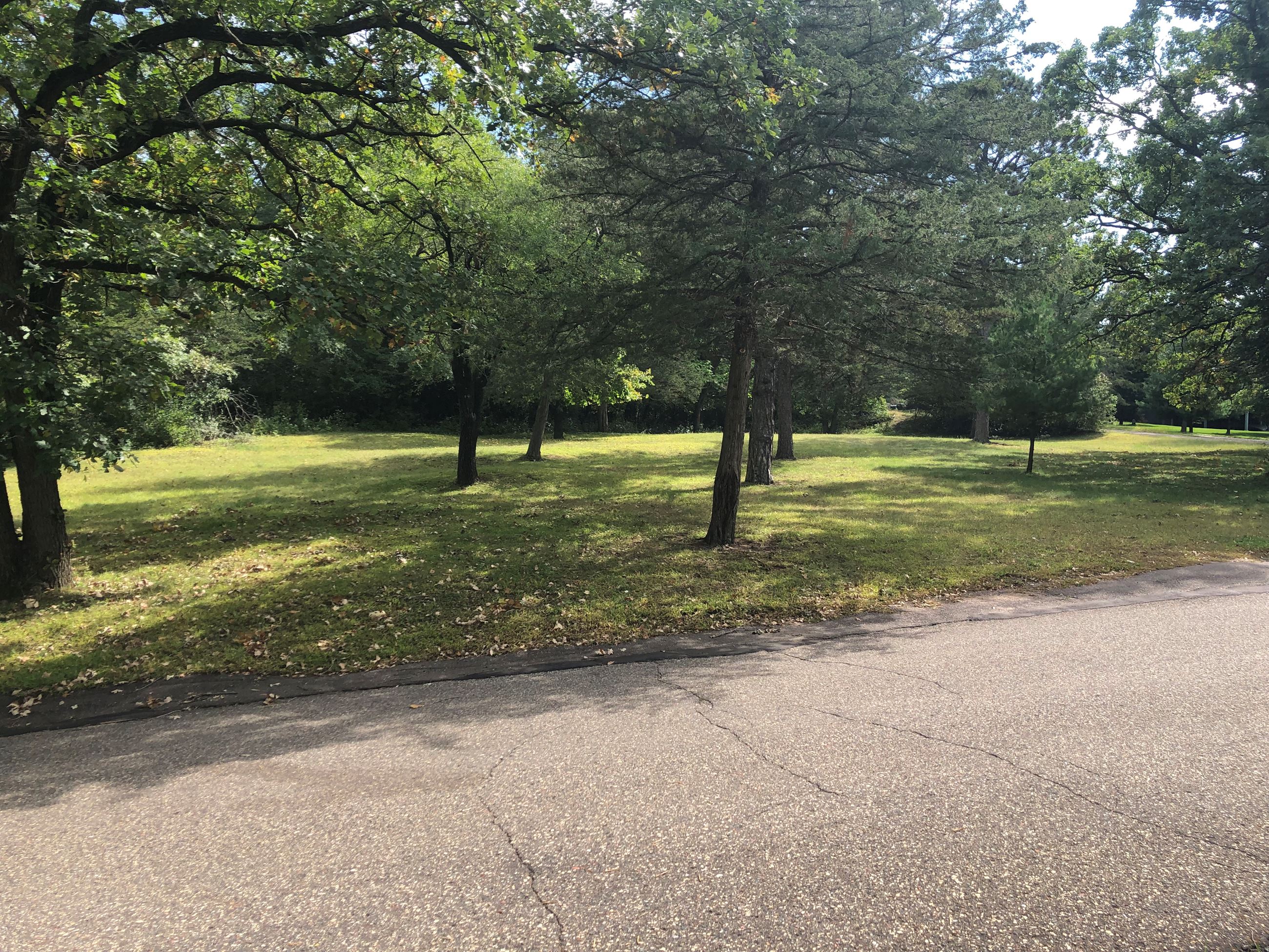 Birkmose Park_Trees 2